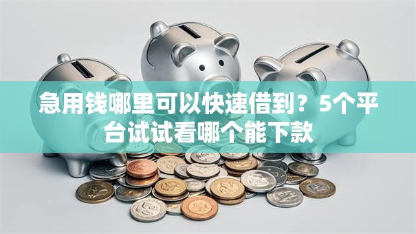 急用钱哪里可以快速借到?5个平台试试看哪个能下款 急用钱哪里可以快速借到?5个平台试试看哪个能下款
