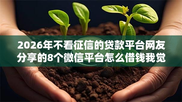 2026年不看征信的贷款平台网友分享的8个微信平台怎么借钱我觉得不错! 2026年不看征信的贷款平台网友分享的8个微信平台怎么借钱我觉得不错!