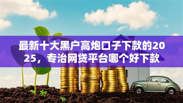 最新十大黑户高炮口子下款的2025，专治网贷平台哪个好下款