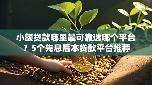 小额贷款哪里最可靠选哪个平台?5个先息后本贷款平台推荐 小额贷款哪里最可靠选哪个平台?5个先息后本贷款平台推荐