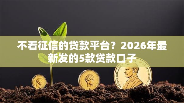 不看征信的贷款平台?2026年最新发的5款贷款口子 不看征信的贷款平台?2026年最新发的5款贷款口子