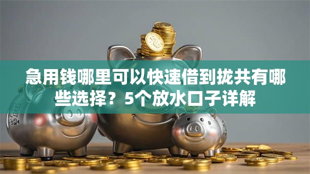 急用钱哪里可以快速借到拢共有哪些选择?5个放水口子详解 急用钱哪里可以快速借到拢共有哪些选择?5个放水口子详解
