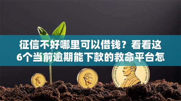 征信不好哪里可以借钱?看看这6个当前逾期能下款的救命平台怎么样 征信不好哪里可以借钱?看看这6个当前逾期能下款的救命平台怎么样