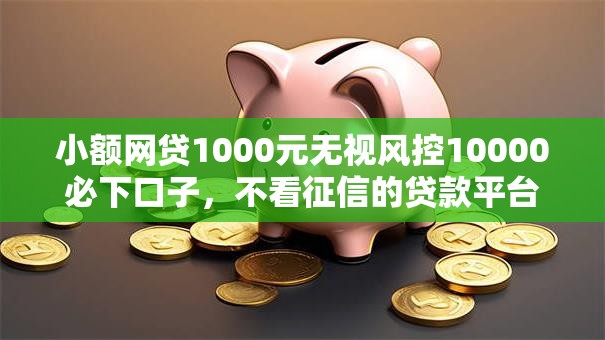 小额网贷1000元无视风控10000必下口子,不看征信的贷款平台的5个平台介绍 小额网贷1000元无视风控10000必下口子,不看征信的贷款平台的5个平台介绍
