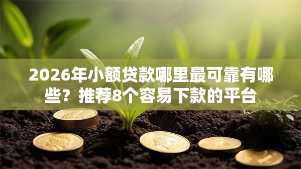 2026年小额贷款哪里最可靠有哪些?推荐8个容易下款的平台 2026年小额贷款哪里最可靠有哪些?推荐8个容易下款的平台