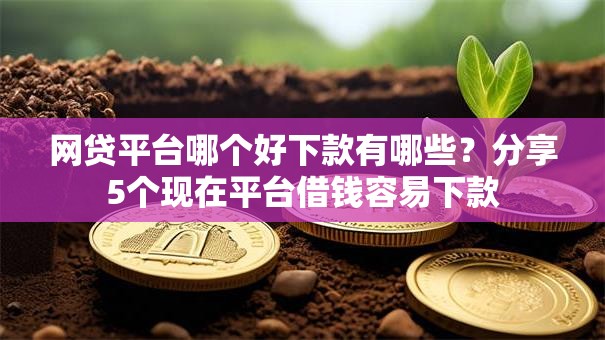 网贷平台哪个好下款有哪些？分享5个现在平台借钱容易下款