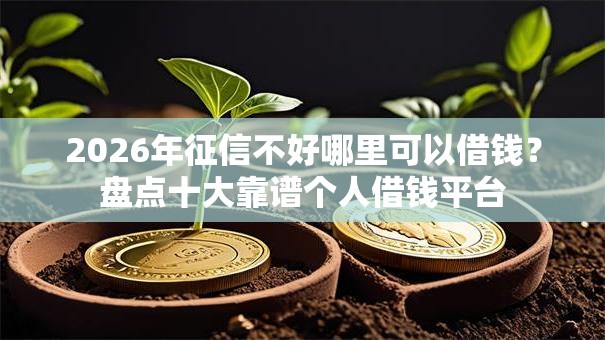 2026年征信不好哪里可以借钱？盘点十大靠谱个人借钱平台