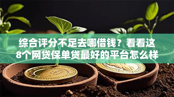 综合评分不足去哪借钱？看看这8个网贷保单贷最好的平台怎么样