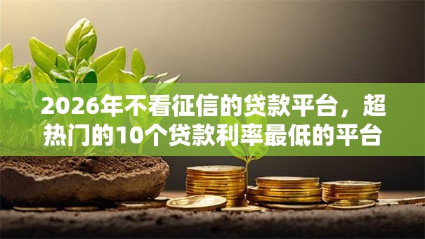 2026年不看征信的贷款平台,超热门的10个贷款利率最低的平台推荐 2026年不看征信的贷款平台,超热门的10个贷款利率最低的平台推荐