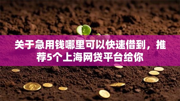 关于急用钱哪里可以快速借到，推荐5个上海网贷平台给你