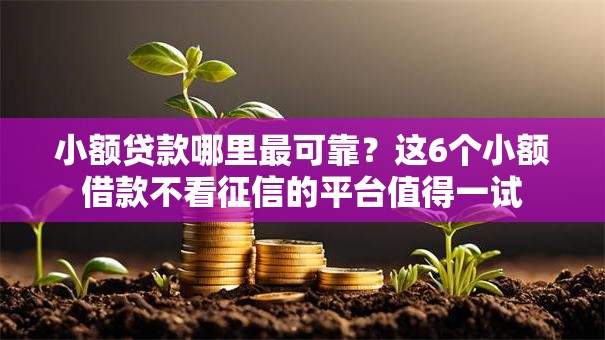 小额贷款哪里最可靠?这6个小额借款不看征信的平台值得一试 小额贷款哪里最可靠?这6个小额借款不看征信的平台值得一试