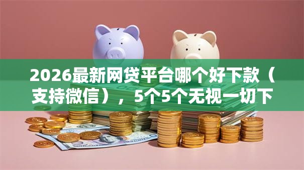 2026最新网贷平台哪个好下款（支持微信），5个5个无视一切下款的平台无私分享