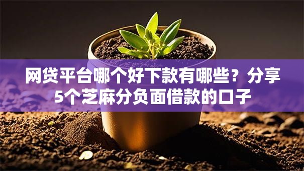 网贷平台哪个好下款有哪些?分享5个芝麻分负面借款的口子 网贷平台哪个好下款有哪些?分享5个芝麻分负面借款的口子