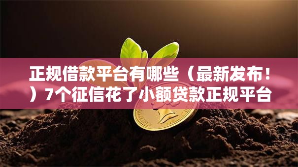 正规借款平台有哪些(最新发布!)7个征信花了小额贷款正规平台 正规借款平台有哪些(最新发布!)7个征信花了小额贷款正规平台