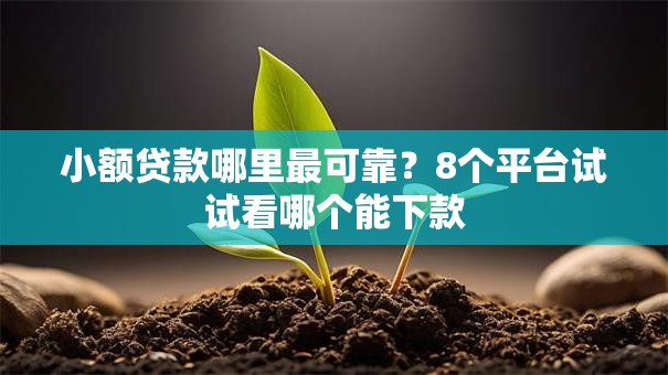 小额贷款哪里最可靠?8个平台试试看哪个能下款 小额贷款哪里最可靠?8个平台试试看哪个能下款