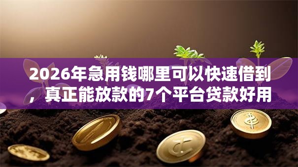 2026年急用钱哪里可以快速借到，真正能放款的7个平台贷款好用推荐