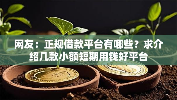 网友：正规借款平台有哪些？求介绍几款小额短期用钱好平台