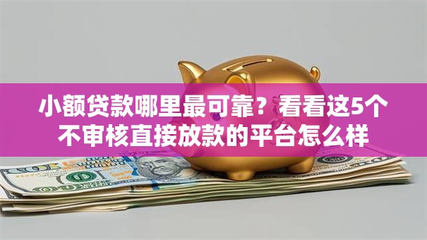 小额贷款哪里最可靠?看看这5个不审核直接放款的平台怎么样 小额贷款哪里最可靠?看看这5个不审核直接放款的平台怎么样