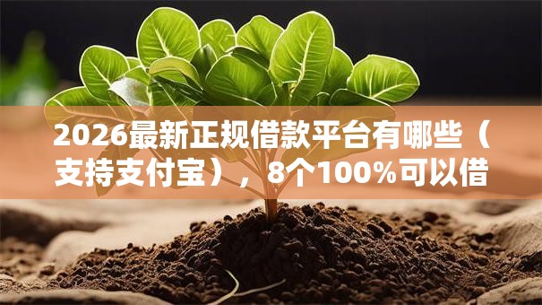2026最新正规借款平台有哪些（支持支付宝），8个100%可以借钱的平台无私分享