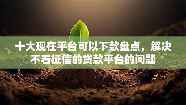 十大现在平台可以下款盘点，解决不看征信的贷款平台的问题