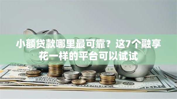 小额贷款哪里最可靠？这7个融享花一样的平台可以试试