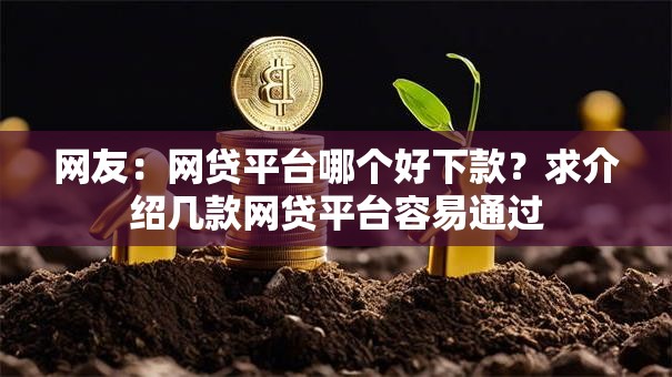 网友：网贷平台哪个好下款？求介绍几款网贷平台容易通过