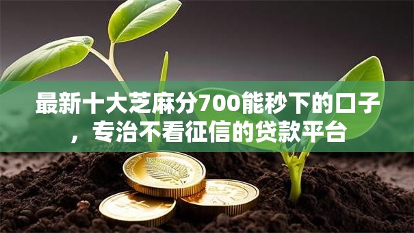 最新十大芝麻分700能秒下的口子，专治不看征信的贷款平台
