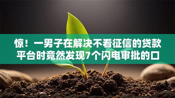 惊!一男子在解决不看征信的贷款平台时竟然发现7个闪电审批的口子,事后分享了出来 惊!一男子在解决不看征信的贷款平台时竟然发现7个闪电审批的口子,事后分享了出来