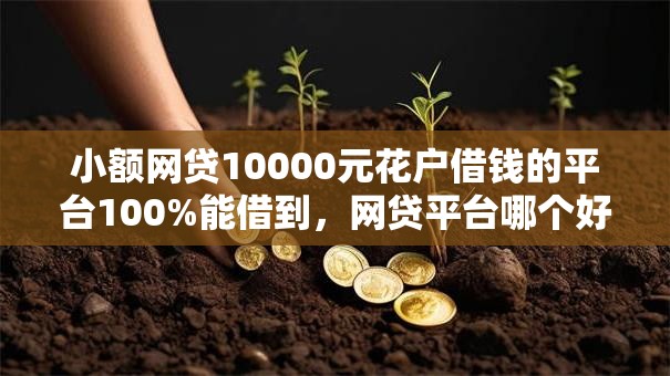 小额网贷10000元花户借钱的平台100%能借到,网贷平台哪个好下款的5个平台介绍 小额网贷10000元花户借钱的平台100%能借到,网贷平台哪个好下款的5个平台介绍