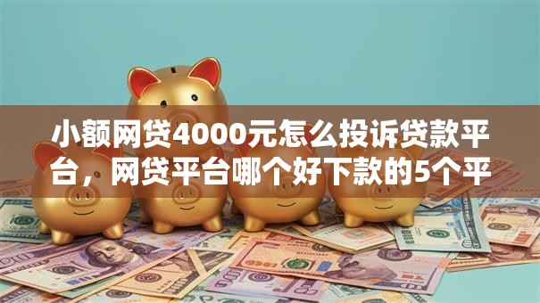小额网贷4000元怎么投诉贷款平台,网贷平台哪个好下款的5个平台介绍 小额网贷4000元怎么投诉贷款平台,网贷平台哪个好下款的5个平台介绍