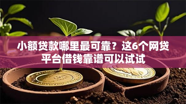 小额贷款哪里最可靠?这6个网贷平台借钱靠谱可以试试 小额贷款哪里最可靠?这6个网贷平台借钱靠谱可以试试