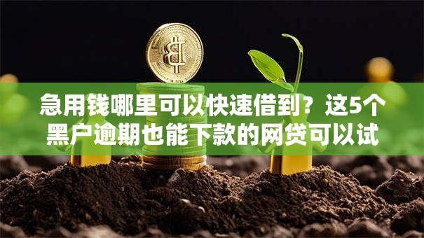 急用钱哪里可以快速借到?这5个黑户逾期也能下款的网贷可以试试 急用钱哪里可以快速借到?这5个黑户逾期也能下款的网贷可以试试