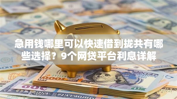 急用钱哪里可以快速借到拢共有哪些选择?9个网贷平台利息详解 急用钱哪里可以快速借到拢共有哪些选择?9个网贷平台利息详解