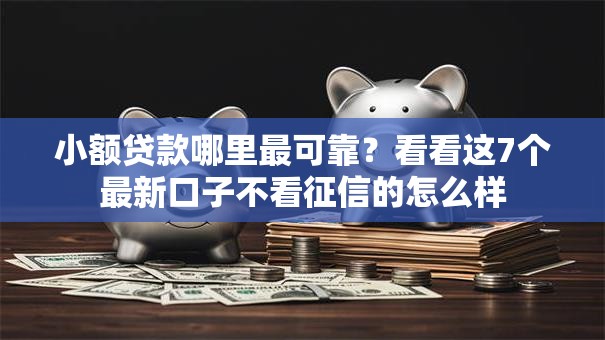 小额贷款哪里最可靠?看看这7个最新口子不看征信的怎么样 小额贷款哪里最可靠?看看这7个最新口子不看征信的怎么样
