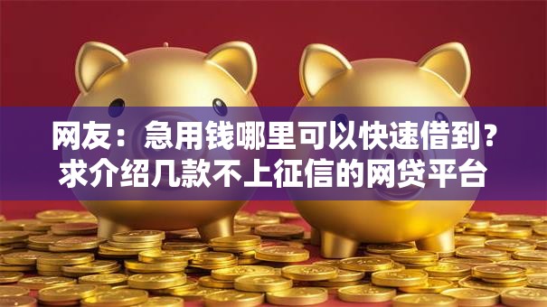 网友:急用钱哪里可以快速借到?求介绍几款不上征信的网贷平台 网友:急用钱哪里可以快速借到?求介绍几款不上征信的网贷平台