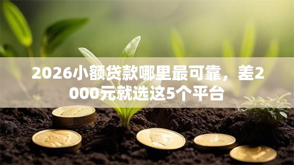 2026小额贷款哪里最可靠,差2000元就选这5个平台 2026小额贷款哪里最可靠,差2000元就选这5个平台