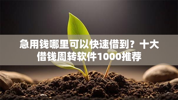急用钱哪里可以快速借到？十大借钱周转软件1000推荐