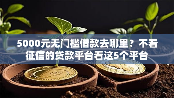 5000元无门槛借款去哪里？不看征信的贷款平台看这5个平台