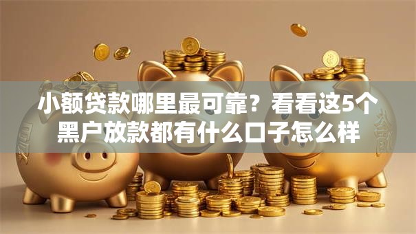 小额贷款哪里最可靠?看看这5个黑户放款都有什么口子怎么样 小额贷款哪里最可靠?看看这5个黑户放款都有什么口子怎么样