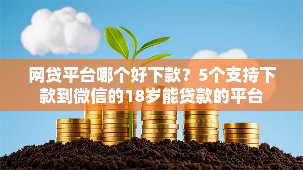 网贷平台哪个好下款？5个支持下款到微信的18岁能贷款的平台
