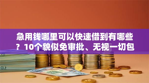 急用钱哪里可以快速借到有哪些?10个貌似免审批、无视一切包下款5000秒下款的平台合集 急用钱哪里可以快速借到有哪些?10个貌似免审批、无视一切包下款5000秒下款的平台合集