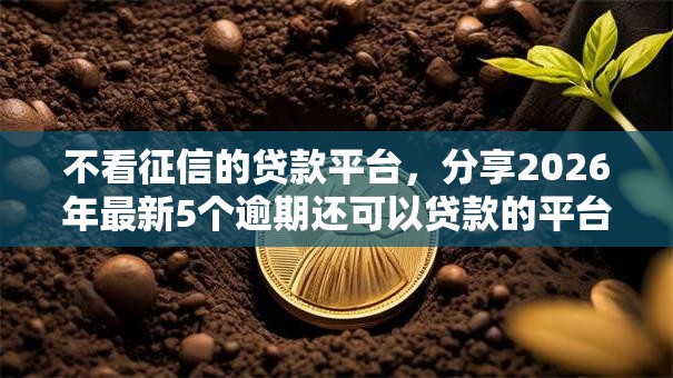 不看征信的贷款平台,分享2026年最新5个逾期还可以贷款的平台 不看征信的贷款平台,分享2026年最新5个逾期还可以贷款的平台