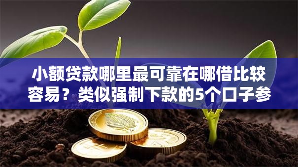 小额贷款哪里最可靠在哪借比较容易？类似强制下款的5个口子参考