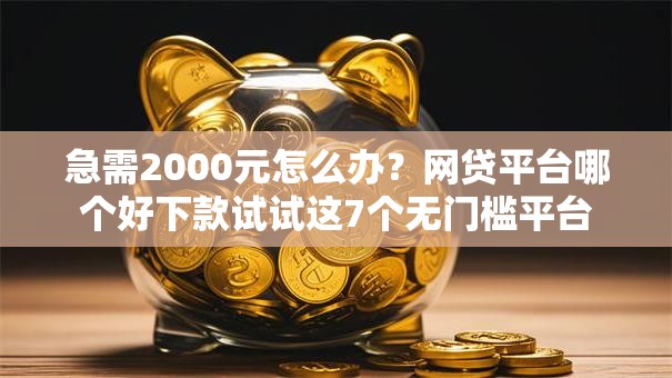 急需2000元怎么办？网贷平台哪个好下款试试这7个无门槛平台