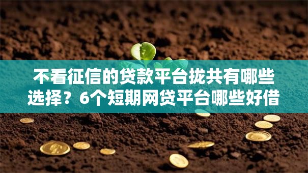 不看征信的贷款平台拢共有哪些选择?6个短期网贷平台哪些好借详解 不看征信的贷款平台拢共有哪些选择?6个短期网贷平台哪些好借详解