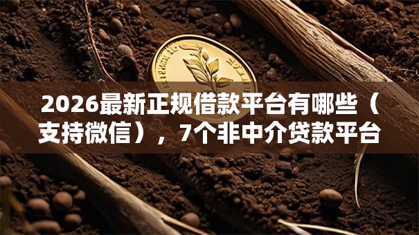 2026最新正规借款平台有哪些(支持微信),7个非中介贷款平台无私分享 2026最新正规借款平台有哪些(支持微信),7个非中介贷款平台无私分享