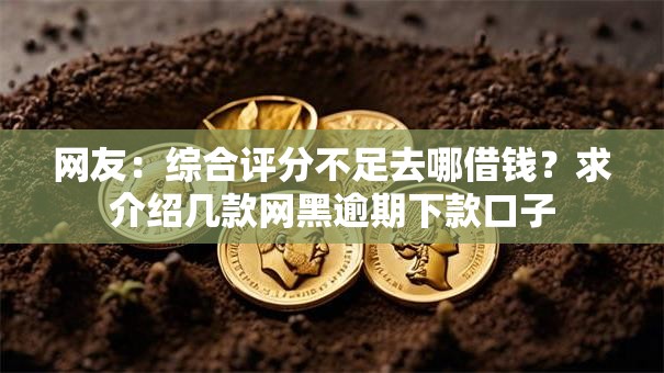 网友:综合评分不足去哪借钱?求介绍几款网黑逾期下款口子 网友:综合评分不足去哪借钱?求介绍几款网黑逾期下款口子
