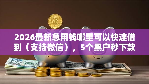 2026最新急用钱哪里可以快速借到（支持微信），5个黑户秒下款的高炮口子无私分享