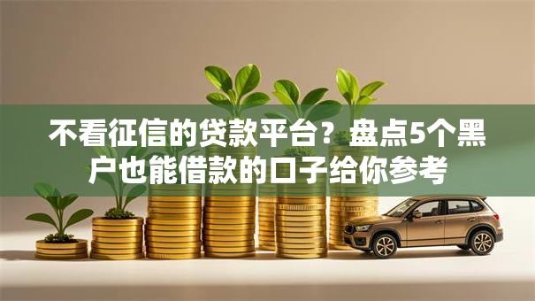 不看征信的贷款平台？盘点5个黑户也能借款的口子给你参考