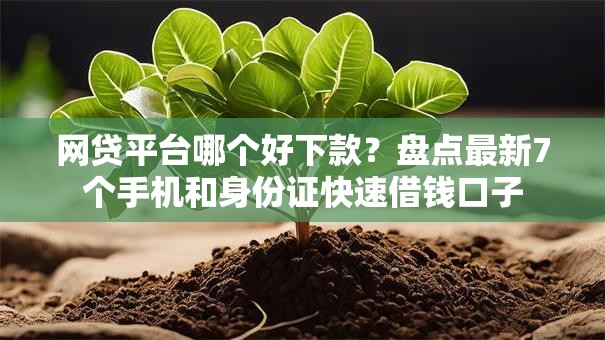 网贷平台哪个好下款?盘点最新7个手机和身份证快速借钱口子 网贷平台哪个好下款?盘点最新7个手机和身份证快速借钱口子